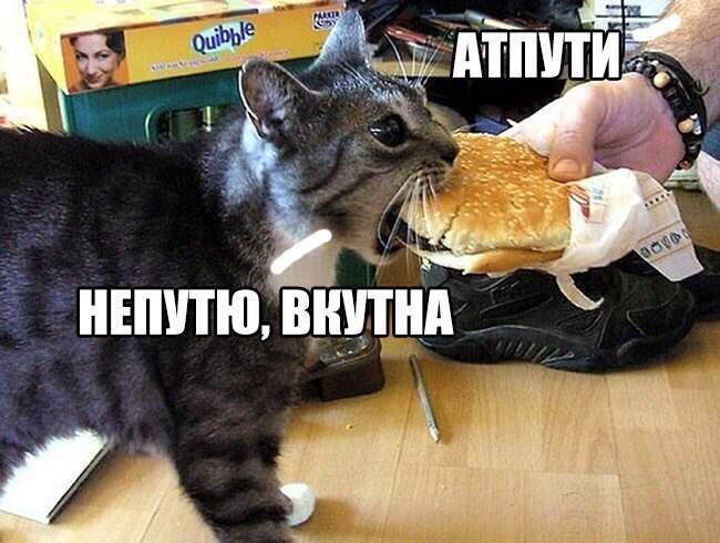 Боря отдай булку