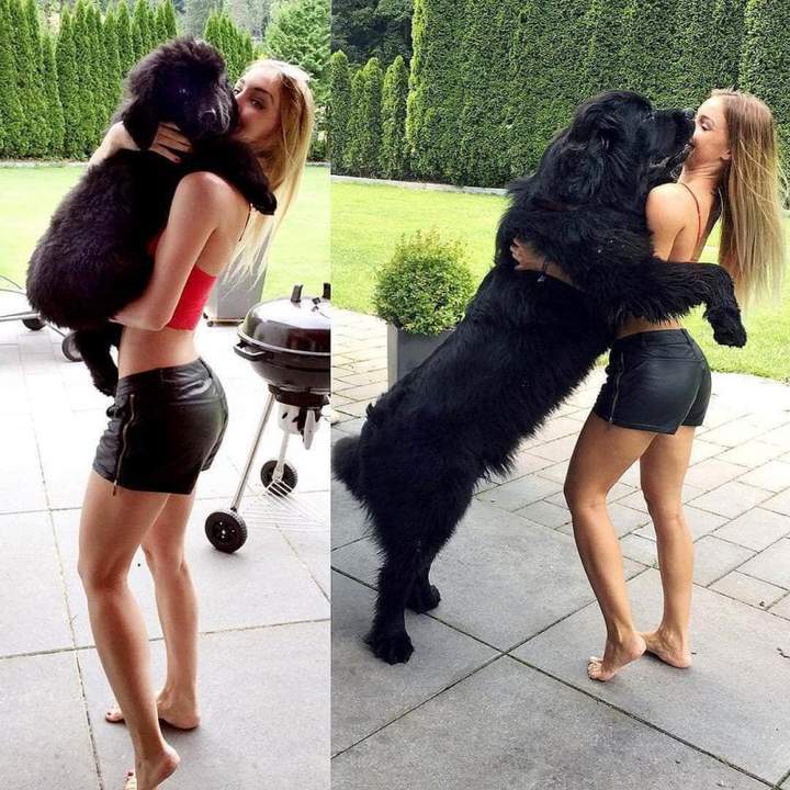 =Это вас кастрировать, а мне когти подстричь и пасть почистить.