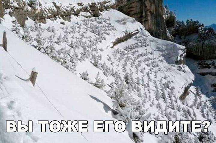 Да, тоже видим.