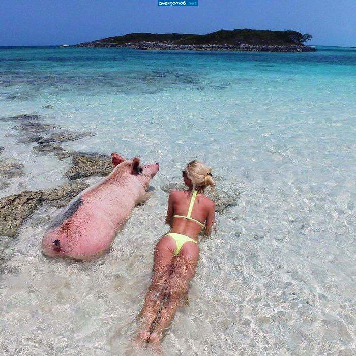 "Мечта Робинзона."
