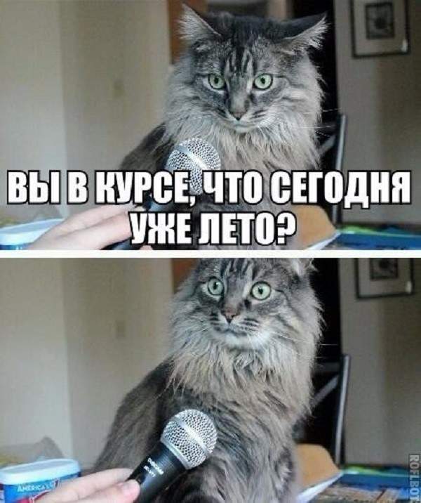 Конечно же в курсе, ты меня об этом уже пятнадцать раз спросил.