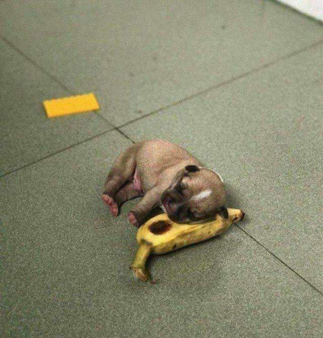 Что бы не сперли