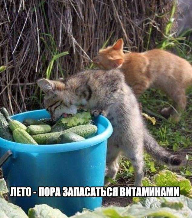 Малахова насмотрелись