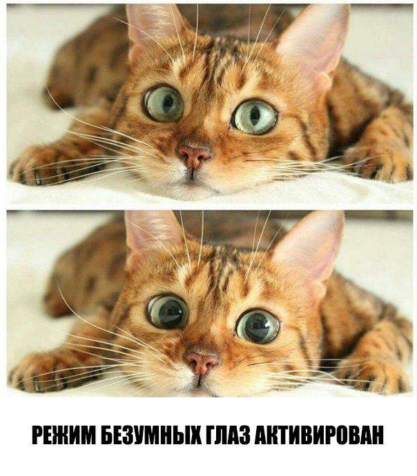 Метла закинута