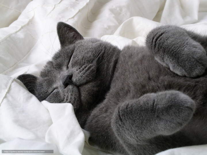 А ты, хозяин дуй на работу, опоздаешь.