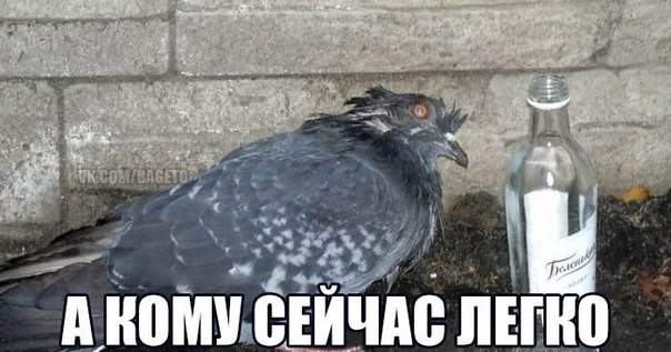 Вот-вот ваше место на свалке