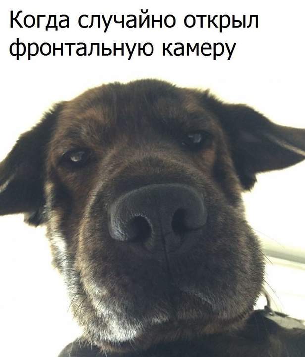 Админ, я приду к тебе во сне. Хватит постить меня каждую неделя.