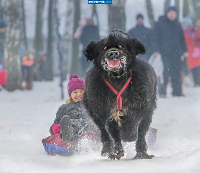 Пааааастаранись!!!!