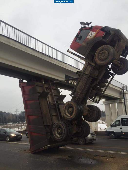 Не объезженная,вот на дыбы и встала!