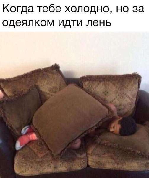 Он просто лентяй