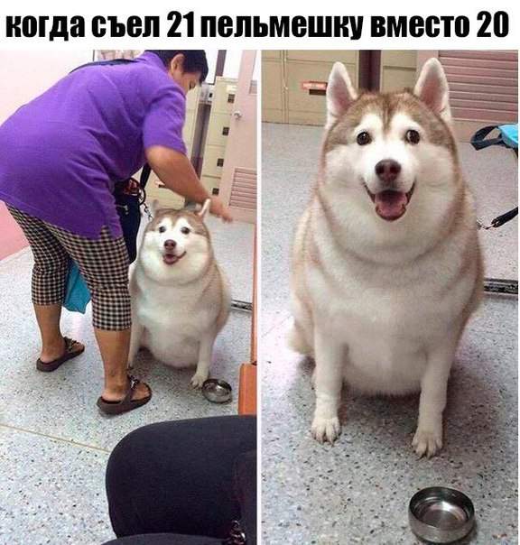 Миска для десерта. Основной тазик не виден.