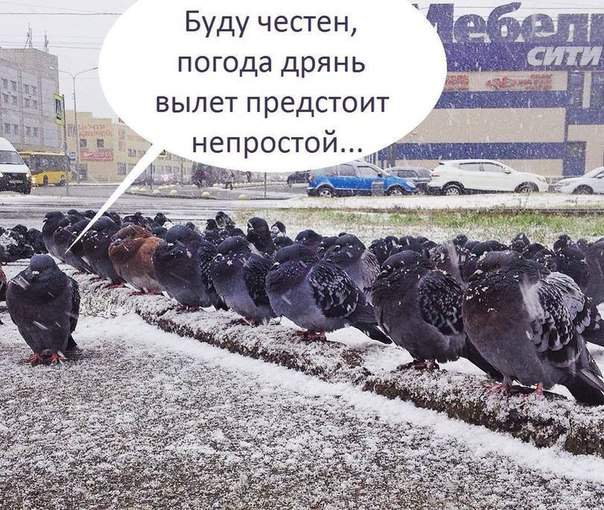 Работы прибавилось! На днях был открыт новый памятник Владимиру...