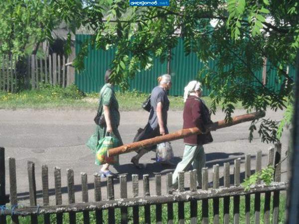 Колхозный лес карман не тянет
