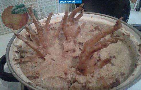 побег из курятника...