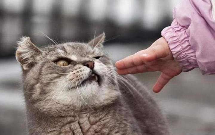 не советую!