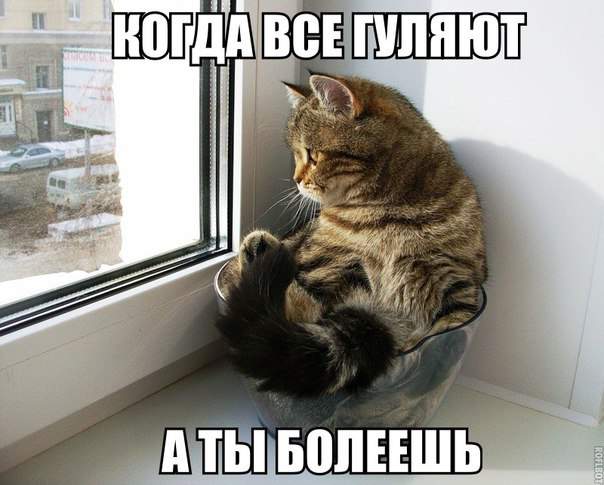 Устаканился