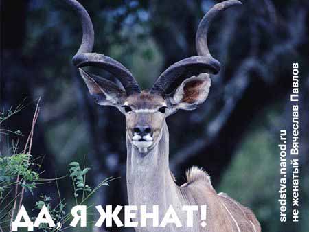А я не буду.