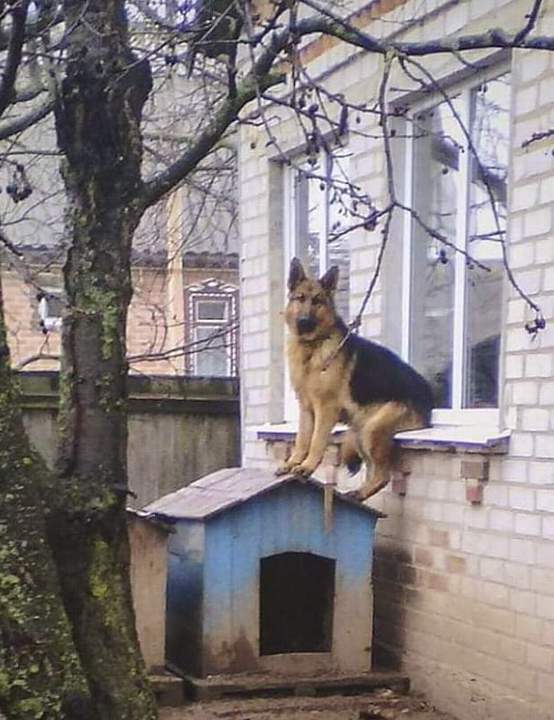 На посту