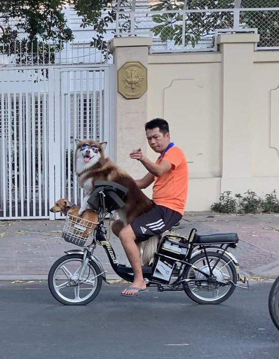 Видишь этого фотографа? Он поставляет вашего брата в рестораны. Действуй!
