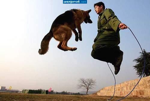 ну, хозяин, ну, харе уже, ох, утомил!