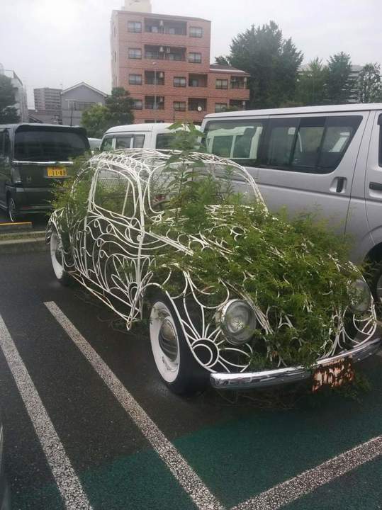 давно стоит