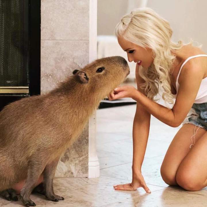 Что значит - Не могу больше, мой герой?