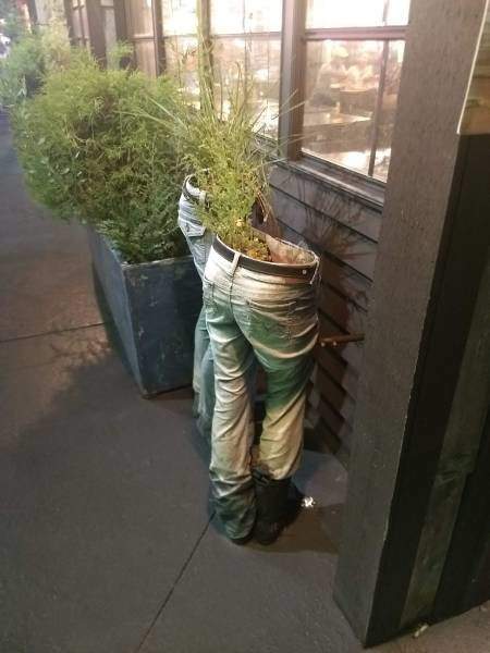 Два раза по полдровосека