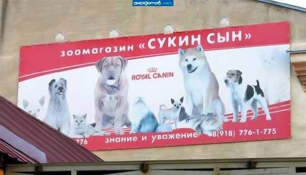 название придумали сукины дети.
