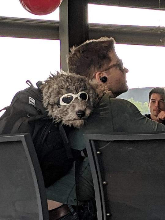 "Когда не побрился с утра..."