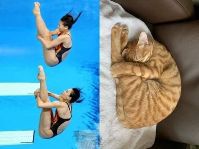 Навернооо, в следующей жизниии, я буду кошкой ла-ла-ла-ла:))