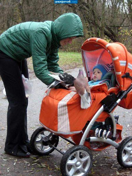 По цыпленку на обед будет