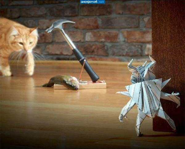 Котоловка