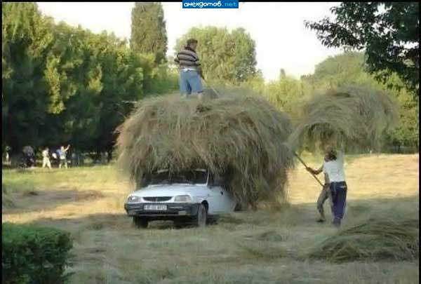 сколько волка не корми....