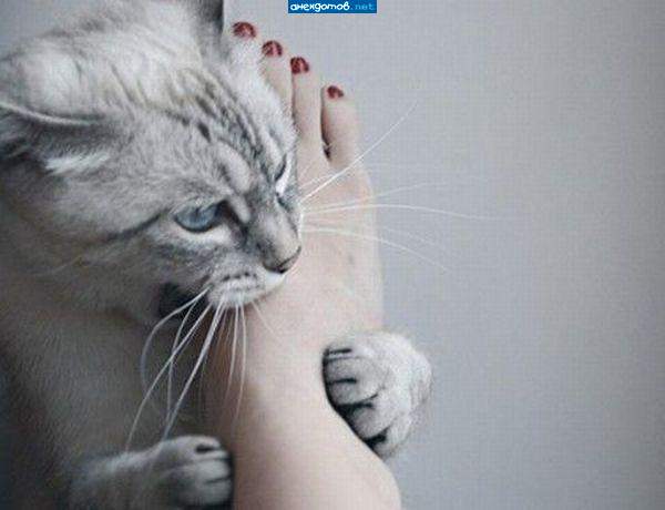 жрааать!"
