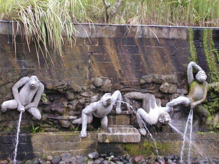 Выпускники