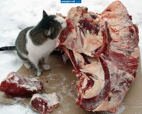 Мяса много не бывает