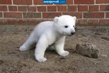 А где же снег?!!!!!