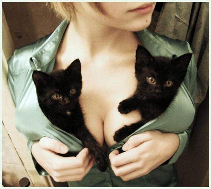 Киськи...