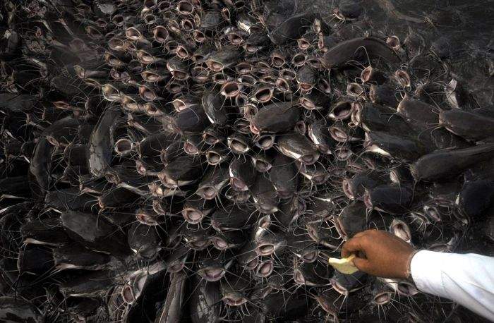 Вид из кремля...