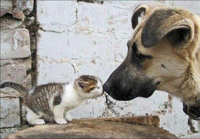 -папаня". "ну вот, а то все мама,мама