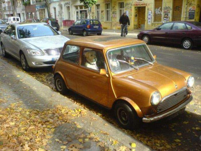 Тяжолая вещь шоппинг! Сиди вот, и жди...