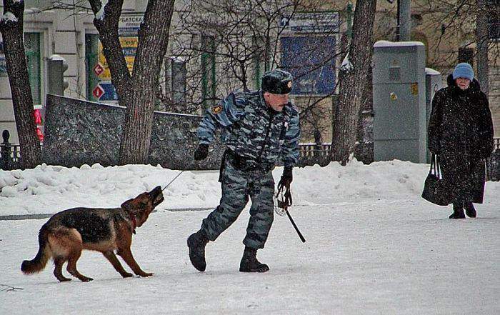 Ахтунг собакирен! За яйцен клац, клац!