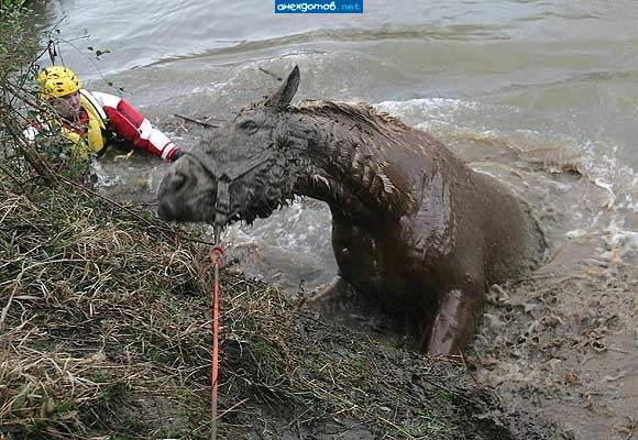 Я больше не могу!!! Пристрелите меня...