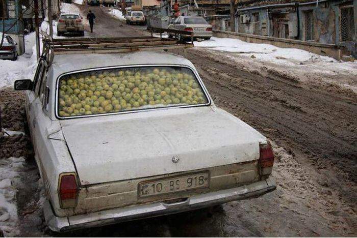 овощехранилище