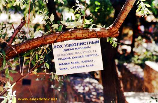 Так вот они откуда!