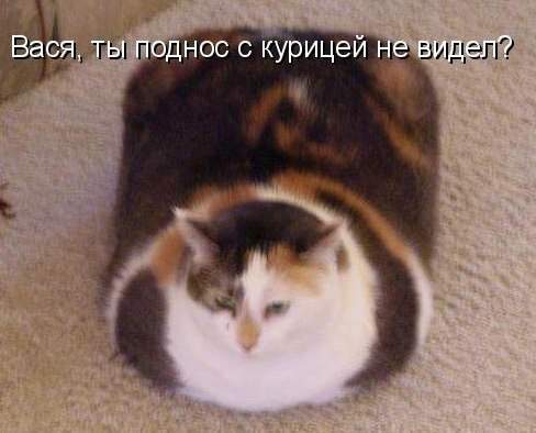 Палюсь, блин. И вот куда я торопился?