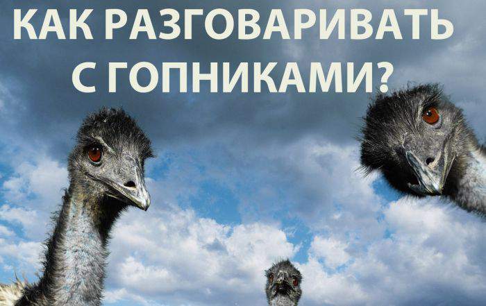 А чего с ними разговаривать? Травмат пусть разговаривает...