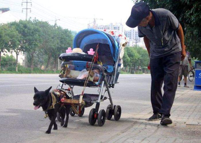 Кота увидит, наверняка понесет...