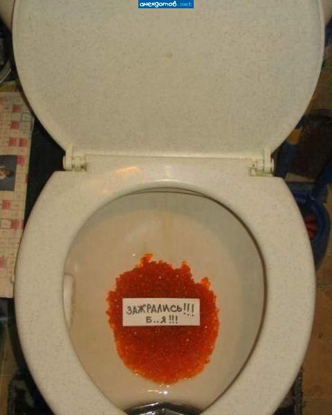 Кто в туалете икру метал?!