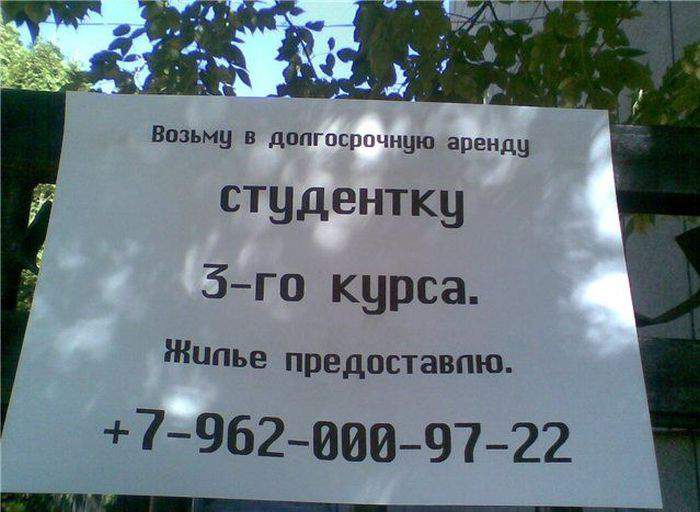 ...возможно без опыта работы
